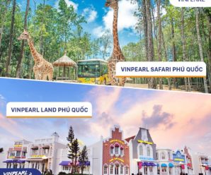Combo 3N2Đ: Vinpearl Phú Quốc + Buffet ăn sáng + Vé vui chơi Vinpearl Land (Vinwonders) & Safari + Miễn phí Buffet trưa hoặc tối